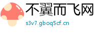 不翼而飞网